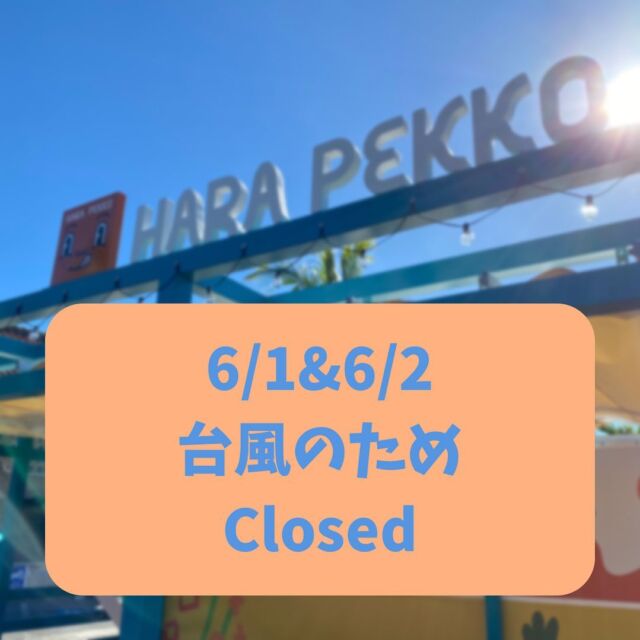 おはようございます！
⁡
本日/明日は台風2号の影響により
HARA PEKKO お休みとなります🙇‍♀️
⁡
⁡
琉球村 ドリンクコーナー（無料ゾーン）にて
⁡
・沖縄そば
・ブルーシールアイスクリーム
⁡
などの販売をしております💁‍♀️
⁡
✼••┈┈••✼••┈┈••✼••┈┈••✼••┈┈••✼
HARA PEKKO (ハラペッコ)
⁡
🍀営業時間:11時30分〜16時
（フード12時〜15時）
⁡
🍀定休日:水曜日（他不定休）
⁡
🍀琉球村駐車場🅿️にあります
⁡
⁡
※営業時間等変更がある場合がございます🙇
予めご了承ください
✼••┈┈••✼••┈┈••✼••┈┈••✼••┈┈••✼
⁡
#コカコーラ
#アセローラフレッシュ
#チリチーズポテト
#カーリーフライ
#チュロス
⁡
#沖縄観光 #沖縄旅行
#琉球村 #ryukyumura
#okinawa #恩納村
#沖縄カフェ 沖縄グルメ
#キッチントレーラー